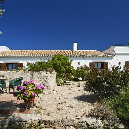 Monte Do Alamo - Turismo Rural Villa Tavira Eksteriør billede